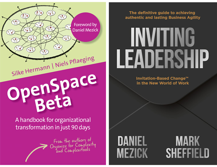 OpenSpace Beta & Inviting Leadership